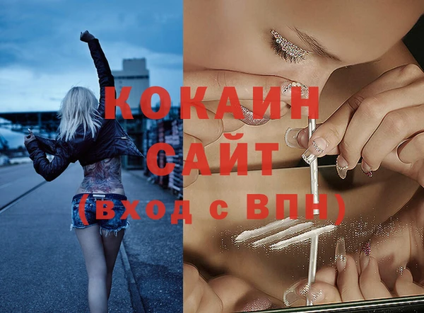 спиды Алзамай