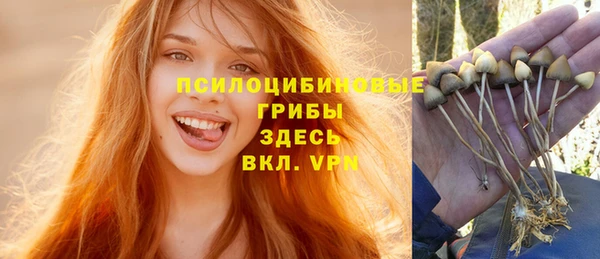 стафф Алексин